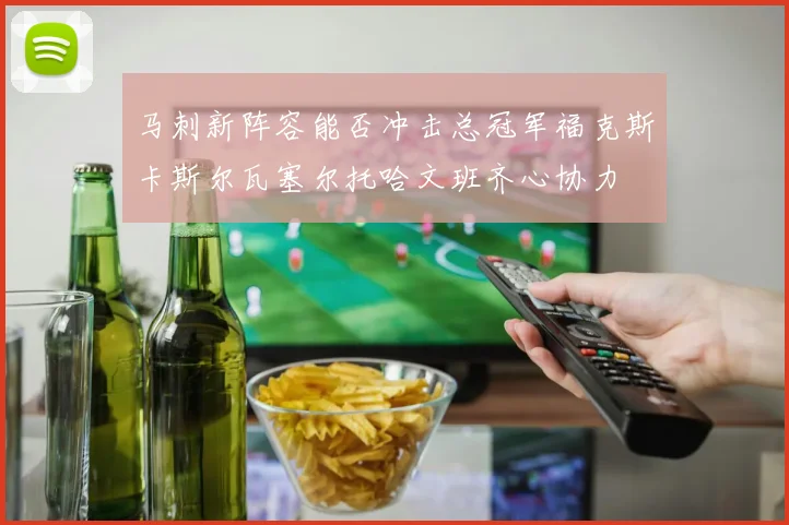 马刺新阵容能否冲击总冠军福克斯卡斯尔瓦塞尔托哈文班齐心协力