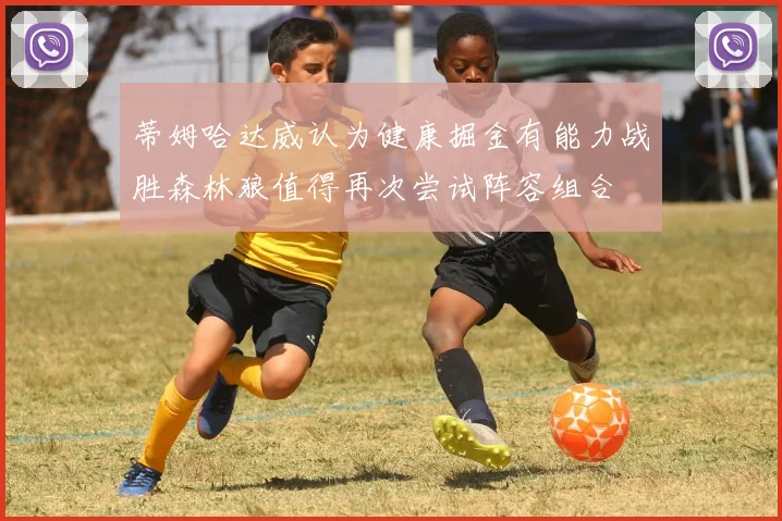 蒂姆哈达威认为健康掘金有能力战胜森林狼值得再次尝试阵容组合