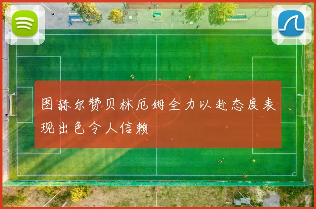 图赫尔赞贝林厄姆全力以赴态度表现出色令人信赖